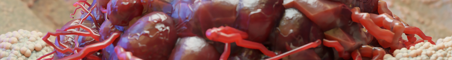 2025 EMH Multidisciplinary GI/General Tumor Board (RSS) Banner